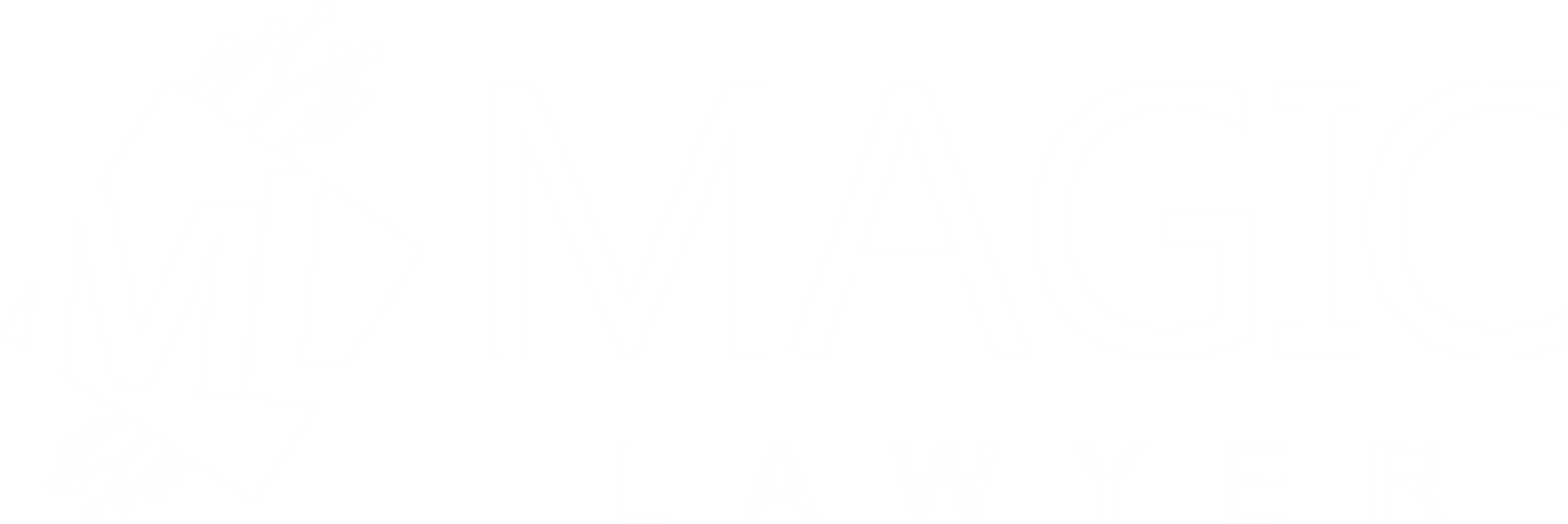 Magic Lawyer